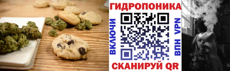 Печенье с ТГК конопля  продажа наркотиков  omg tor  Фокино 