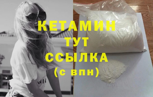 прущие грибы Краснотурьинск