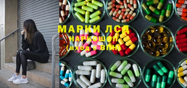 прущие грибы Краснотурьинск