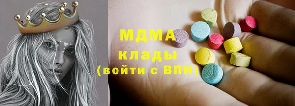 дживик Краснослободск