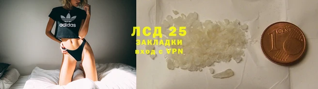 прущие грибы Краснотурьинск