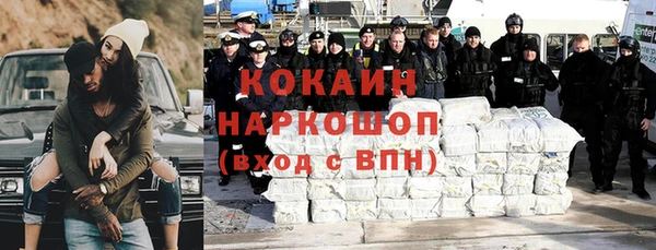 прущие грибы Краснотурьинск