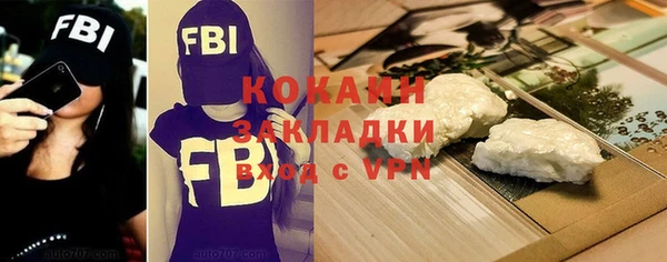 прущие грибы Краснотурьинск